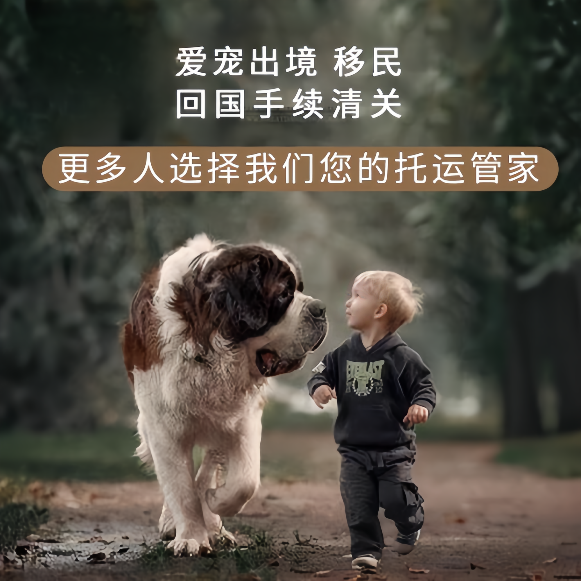 满财贵州省宠物全球达宠物托运在遵守入境目的地政策的条件