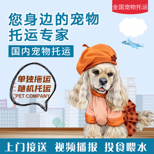 满财贵州省宠物全球达宠物托运作为专业的宠物运输代理机构